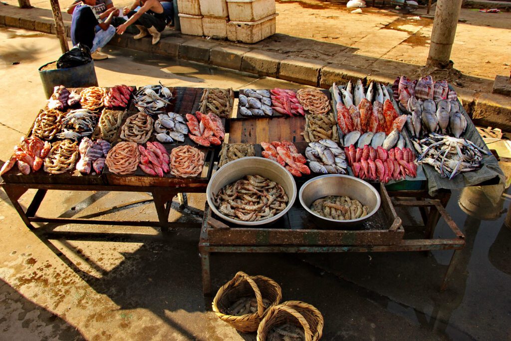 ﻿fish market, Alexandria