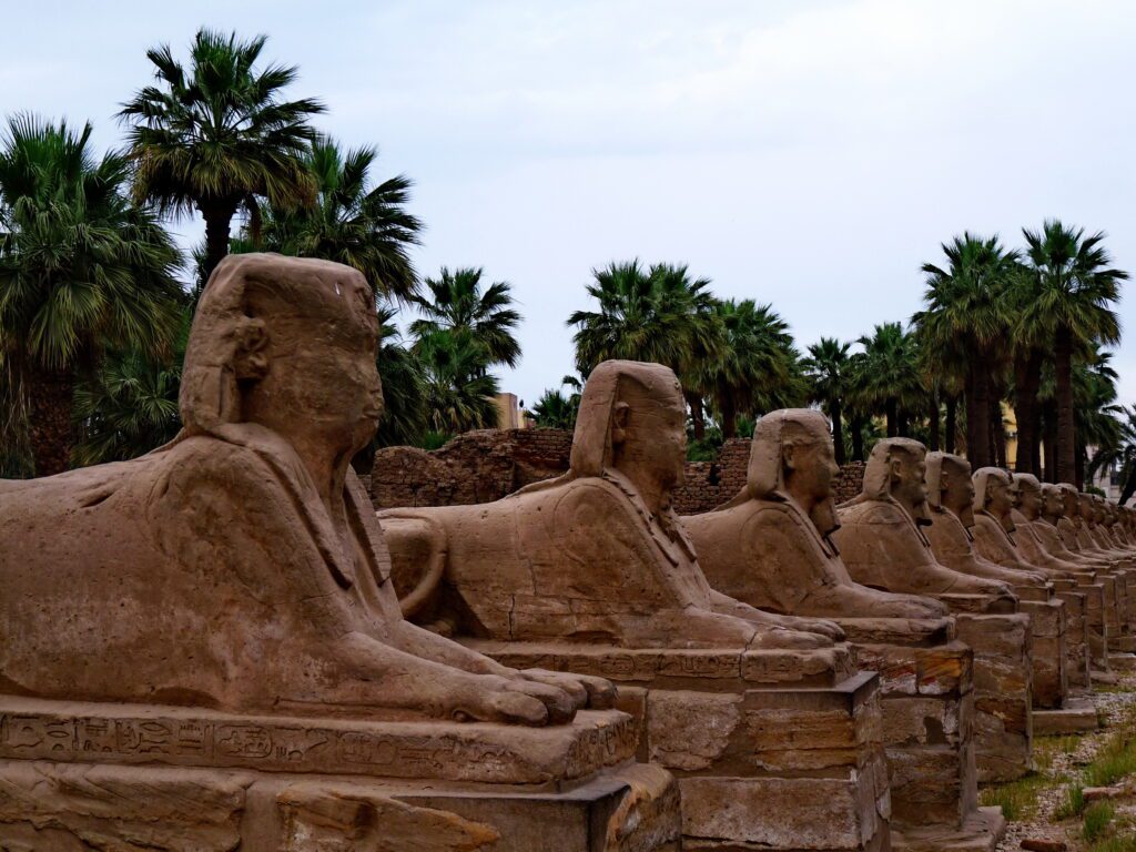 luxor dromos, an avenue of human-headed sphinxes which once connected the temples of Karnak and luxor.