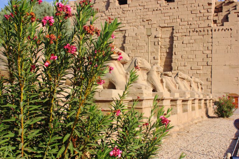 karnak temple in the morning