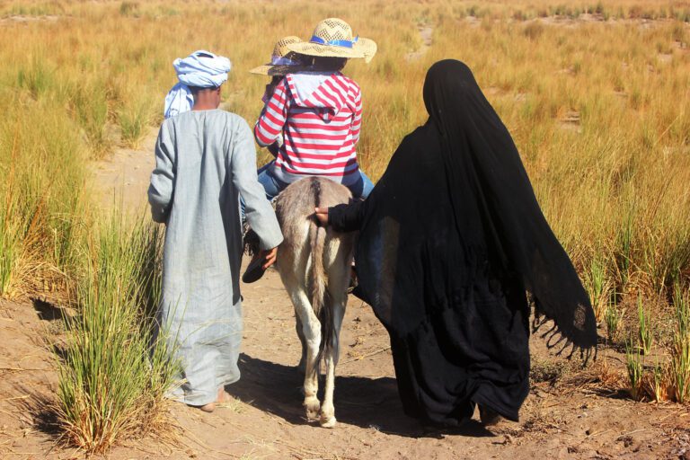 a family on their way back home in Aswan with their donkey