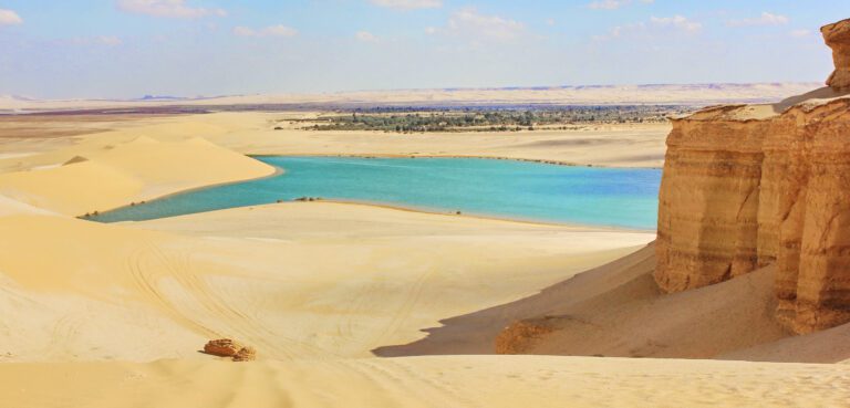 Fayoum Oasis