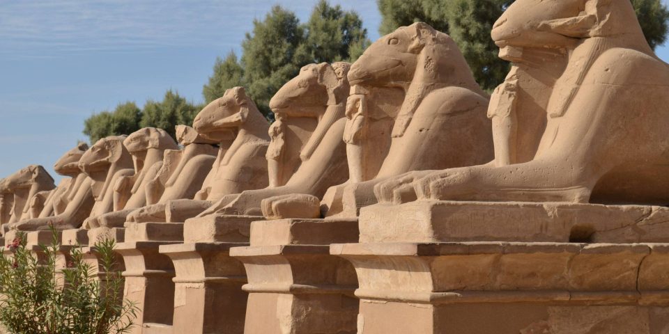 a close-up photo of the Avenue of Sphinxes at Karnak temple
